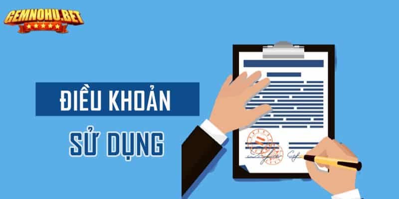 Những nội dung chính trong điều kiện sử dụng